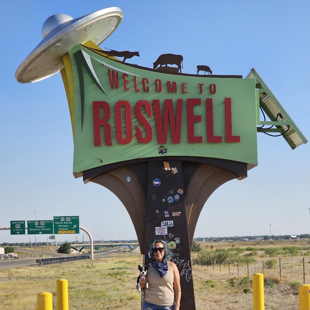 Designer bags and accessories